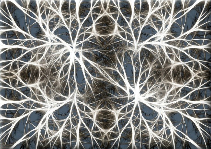 Can Nerve Cells Make Mistakes?
