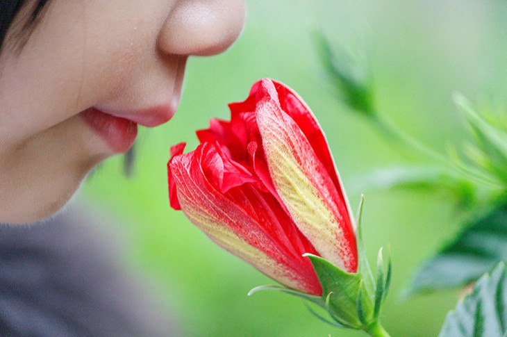 Why Do I Feel, See and Hear?